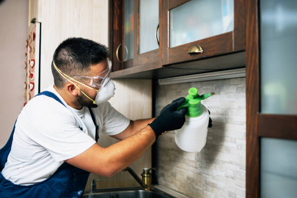 Best Pest Control Near Me in Caddo Mills, TX