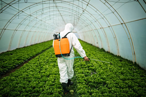 Best Pest Inspection Near Me  in Caddo Mills, TX