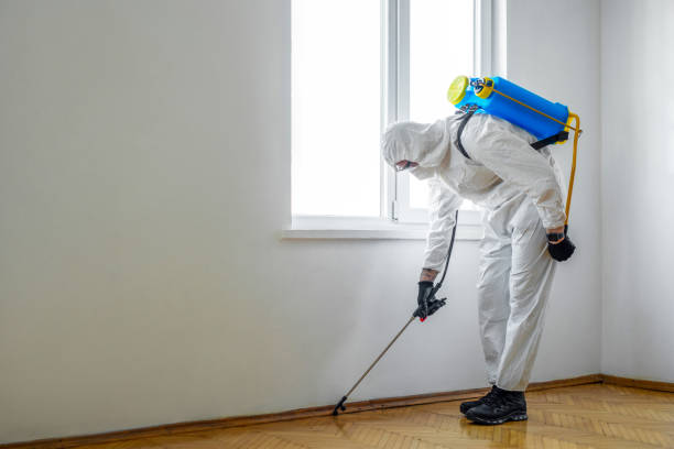 Best Best Pest Control Companies  in Caddo Mills, TX