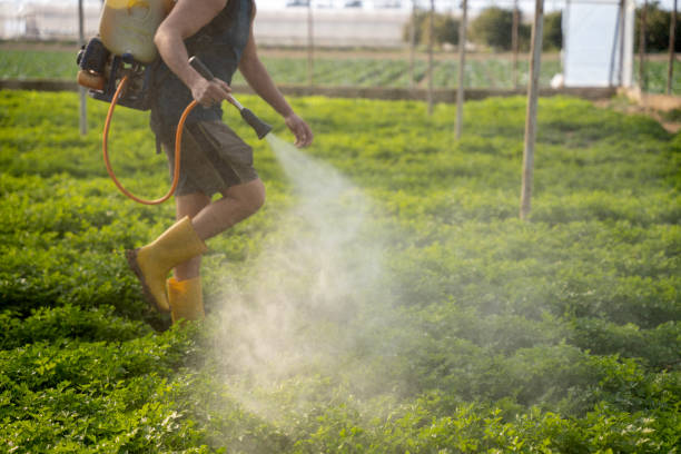 Best Residential Pest Control  in Caddo Mills, TX