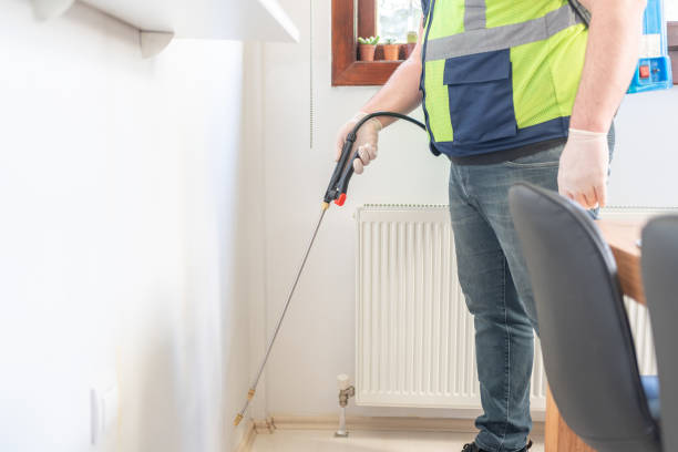 Trusted Caddo Mills, TX Pest Control Experts