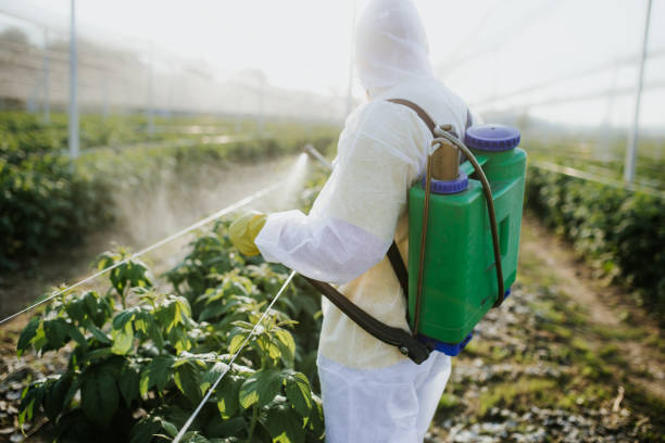 Best Best Pest Control Companies  in Caddo Mills, TX